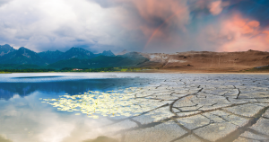 Cross party support for global change