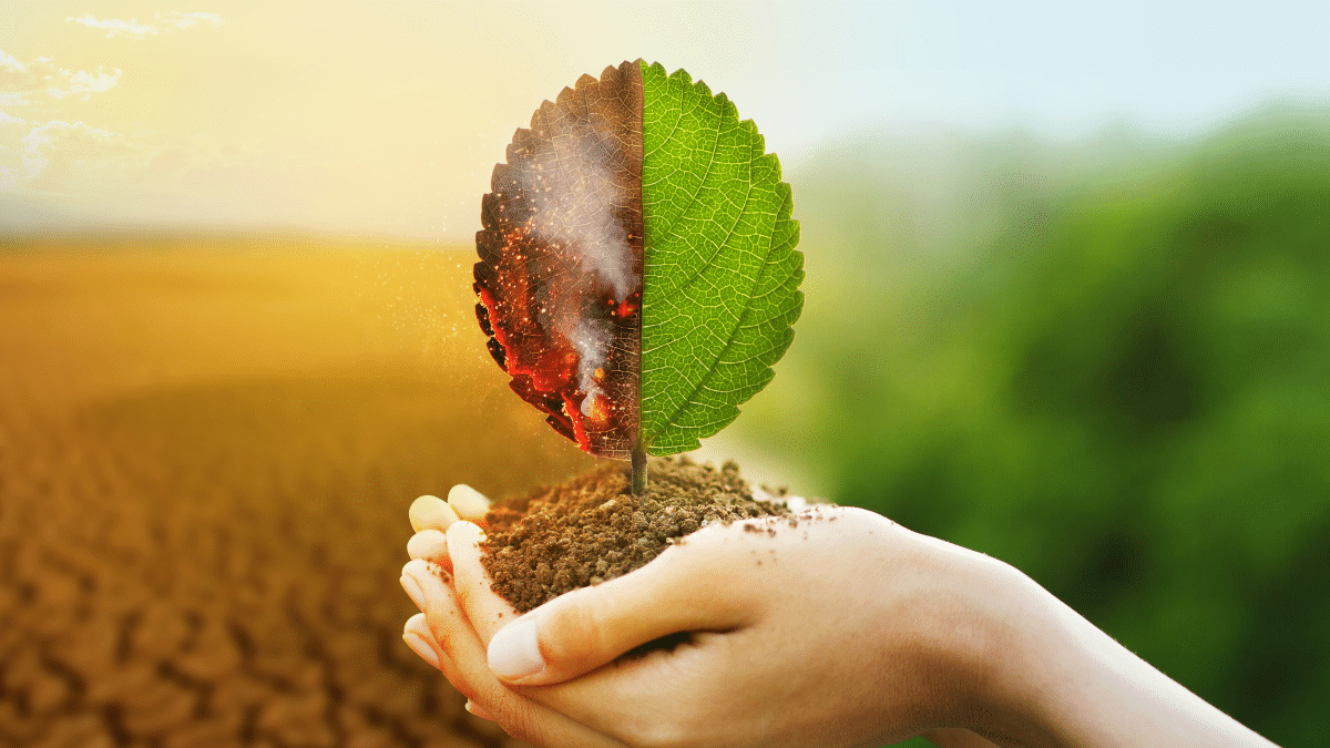 Effects of global warming